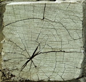 ModernOld Wood Texture