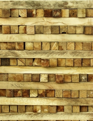 ModernOld Wood Texture