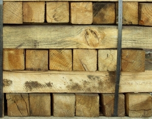 ModernOld Wood Texture
