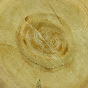 ModernOld Wood Texture