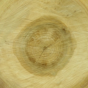 ModernOld Wood Texture