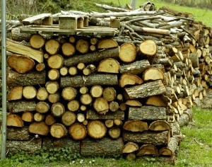 ModernOld Wood Texture