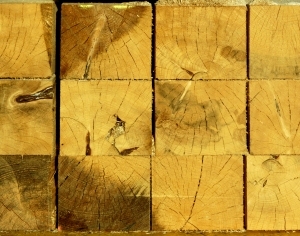 ModernOld Wood Texture