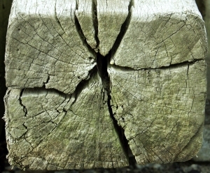 ModernOld Wood Texture