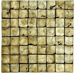 ModernOld Wood Texture