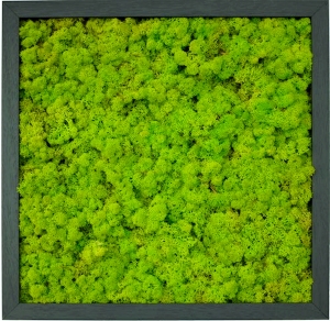 植物墙绿植墙-ID:276932007