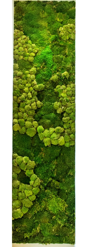 植物墙绿植墙-ID:986658101