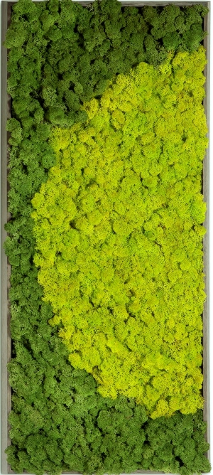 植物墙绿植墙-ID:217760091