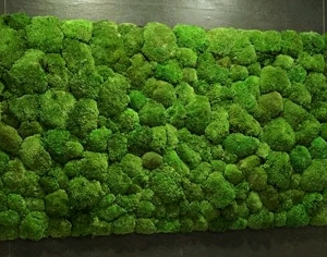 植物墙绿植墙-ID:401442056