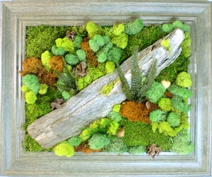 植物墙绿植墙-ID:717097045