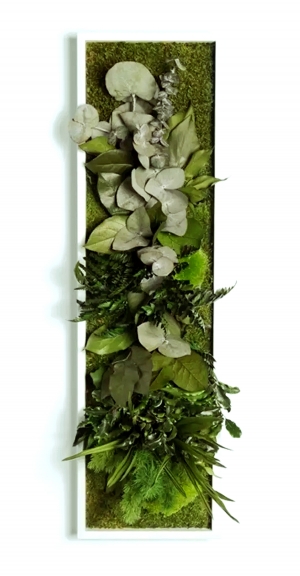 植物墙绿植墙-ID:566664935