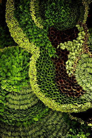 植物墙绿植墙-ID:638076073