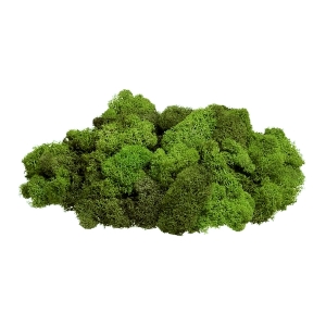 植物墙绿植墙-ID:453960909