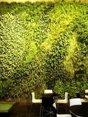 植物墙绿植墙-ID:866610053