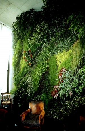 植物墙绿植墙-ID:830554012