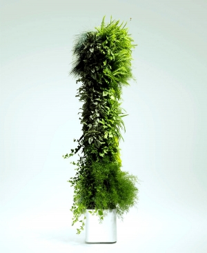植物墙绿植墙-ID:817594056