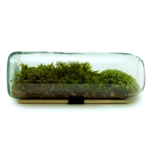 植物墙绿植墙-ID:139630087