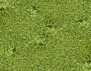 植物墙绿植墙-ID:460859068