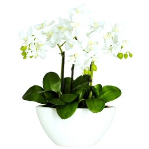 植物墙绿植墙-ID:708930977