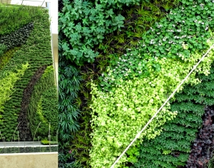 植物墙绿植墙-ID:503175028