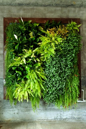 植物墙绿植墙-ID:258379944