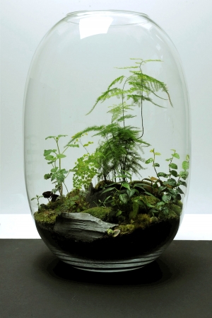 植物墙绿植墙-ID:158322101