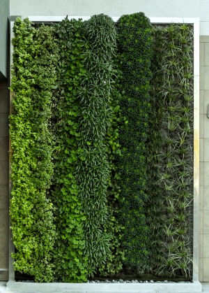 植物墙绿植墙-ID:958679911