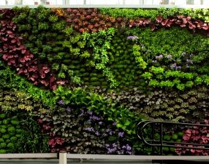植物墙绿植墙-ID:843853955