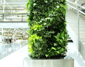 植物墙绿植墙-ID:570650101