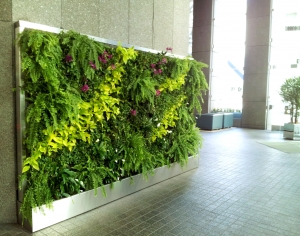 植物墙绿植墙-ID:641958956