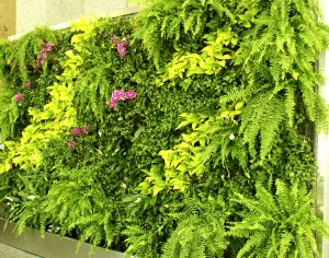 植物墙绿植墙-ID:578069756