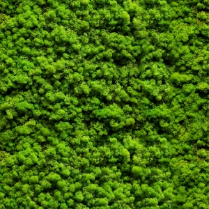 植物墙绿植墙-ID:582576999