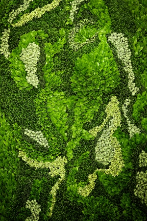 植物墙绿植墙-ID:179374932