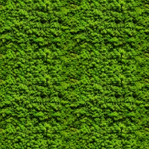 植物墙绿植墙-ID:816014056