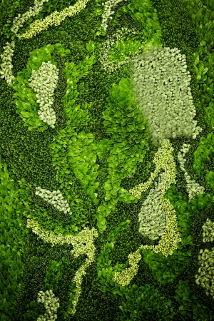 植物墙绿植墙-ID:359380236