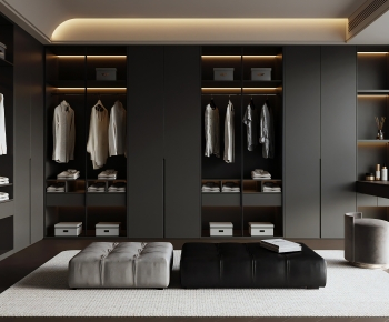 Modern Clothes Storage Area-ID:311935907