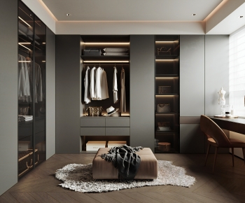 Modern Clothes Storage Area-ID:246455913