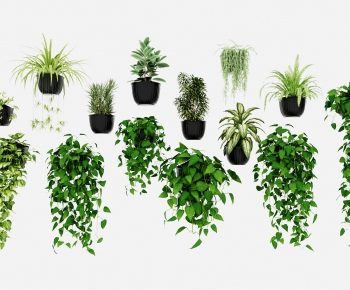 现代绿植盆栽吊篮组合-ID:411168102