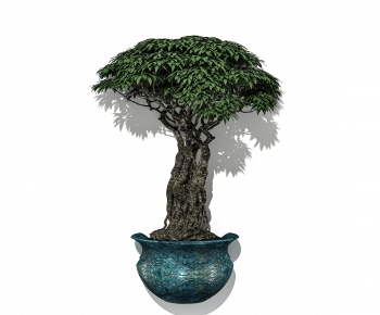 New Chinese Style Bonsai-ID:743002897