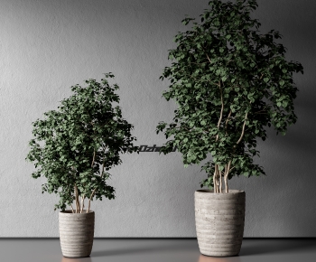 现代落地绿植盆栽组合-ID:269134041