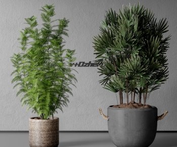 现代落地绿植盆栽组合-ID:314445971