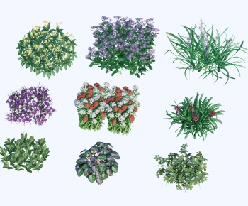 Modern Flowers And Grass-ID:186903006