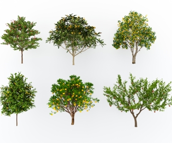 Modern Tree-ID:259541999