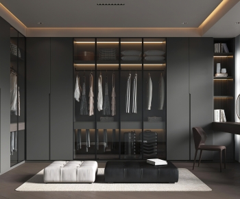 Modern Clothes Storage Area-ID:307800053