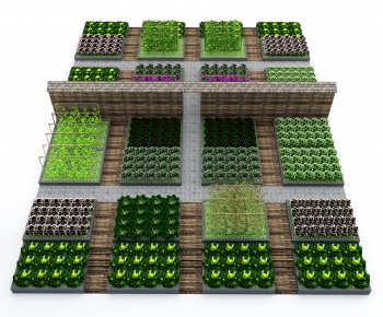 Modern Crop-ID:270365004