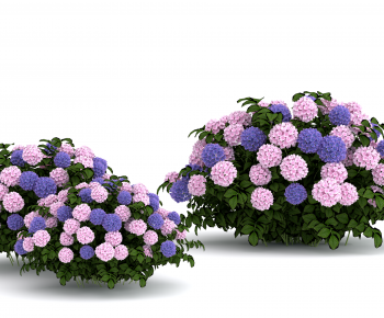 Modern Flowers And Grass-ID:308916094