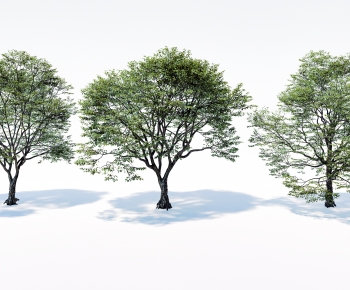 Modern Tree-ID:203300006