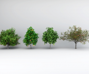 Modern Tree-ID:907329081