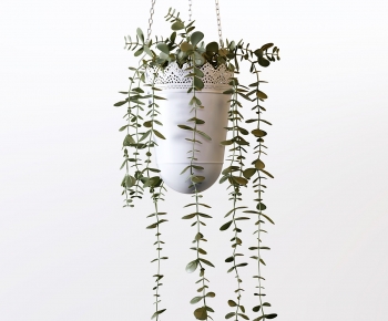 Modern Chlorophytum Comosum-ID:201798926