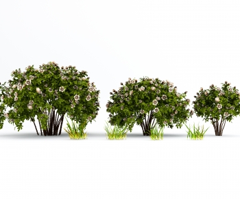 Modern Shrubbery-ID:391268973